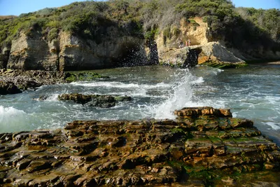 DSC_2697 (Large).JPG